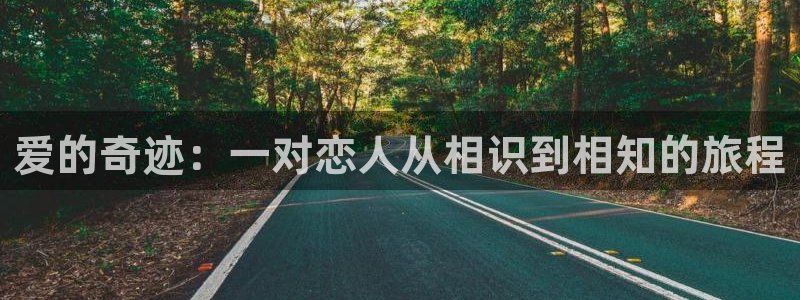 爱的奇迹：一对恋人从相识到相知的旅程